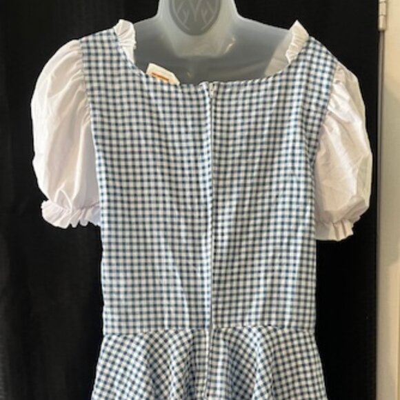 Wizard of Oz ~ Dorothy Halloween Costume ~ Cute - Picture 6 of 9